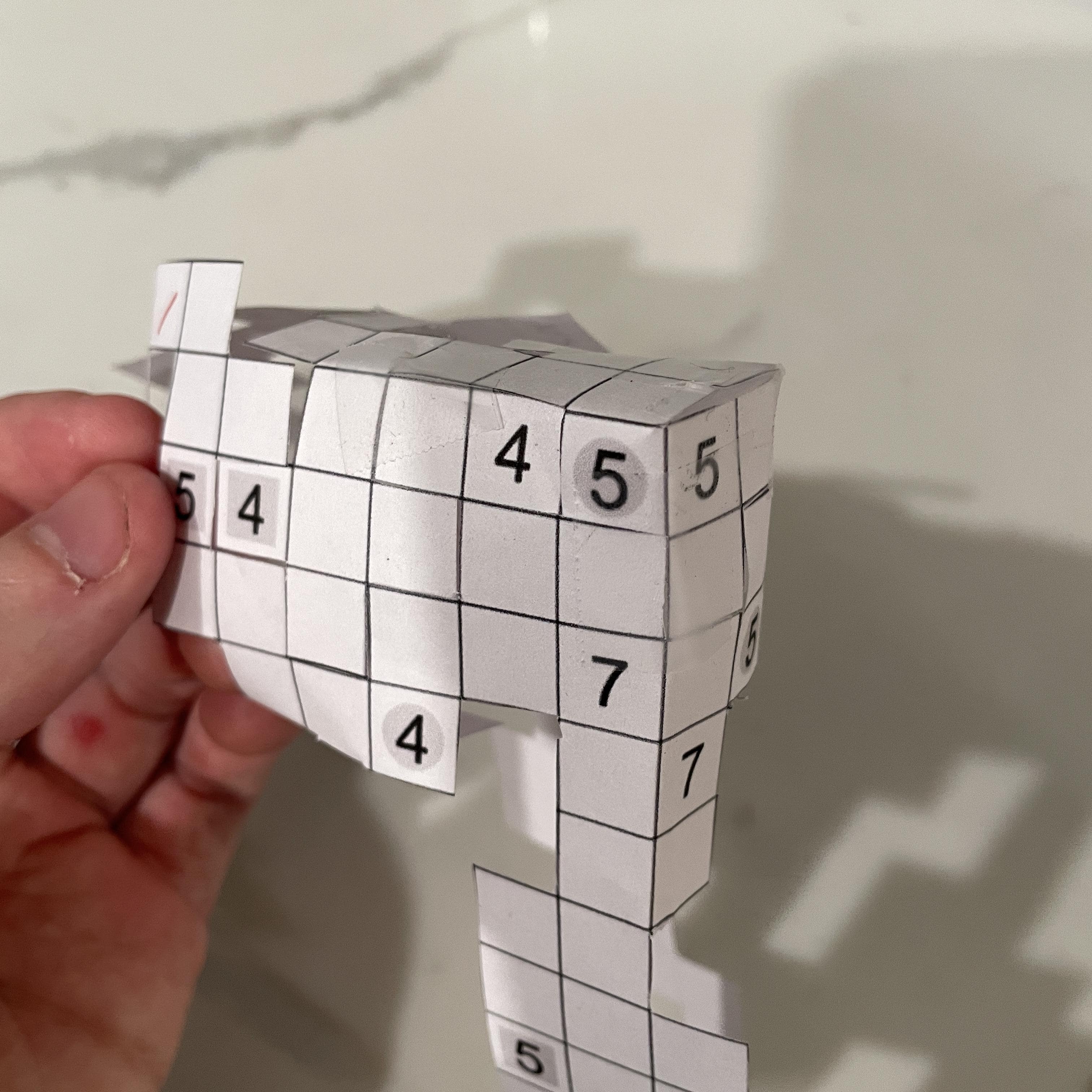 folded net 1