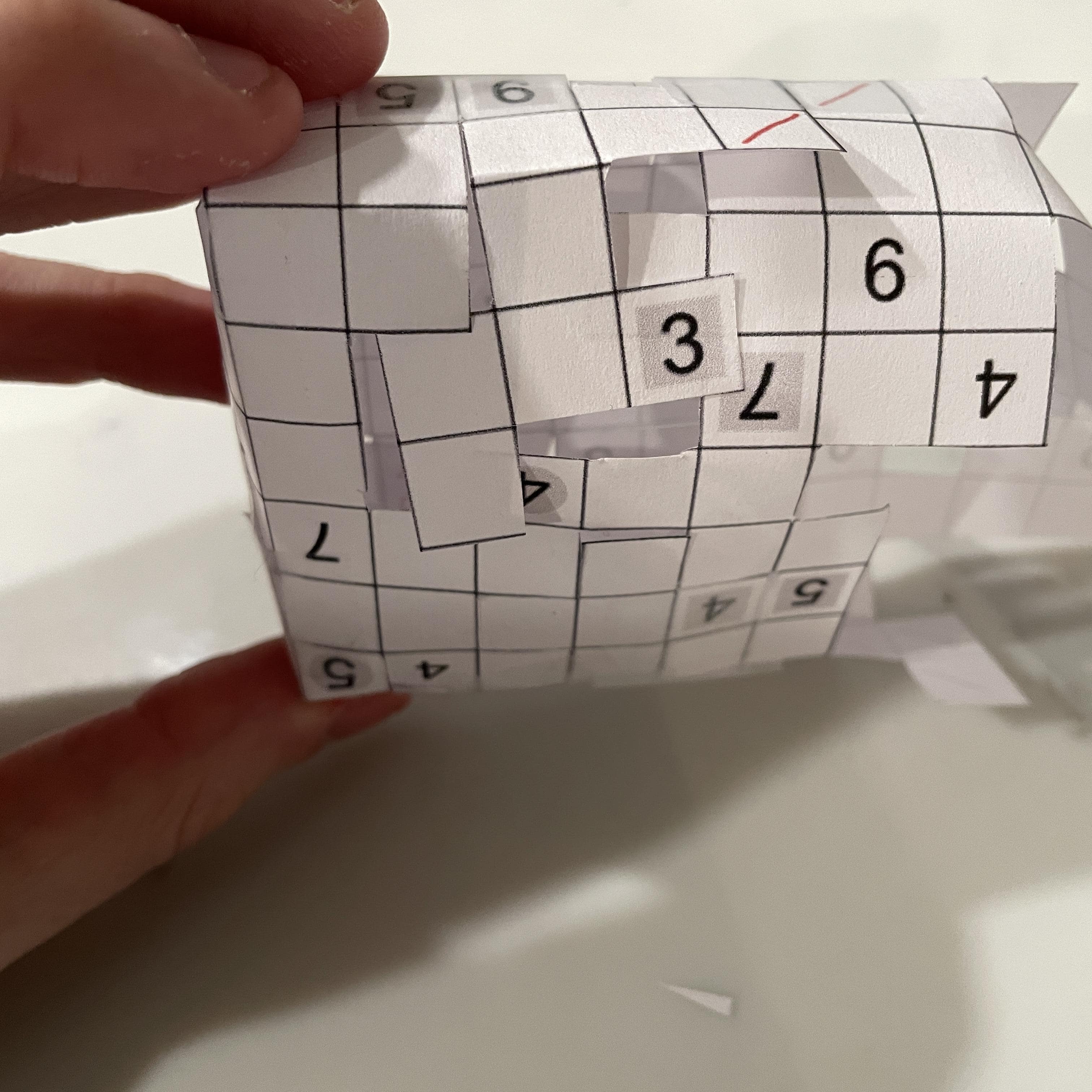 folded net 4